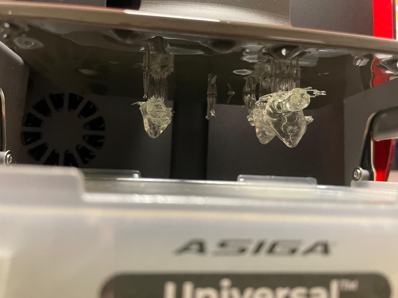 WhatsApp Image 2024-07-03 at 18.01.22_396e0b57